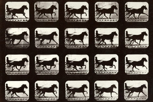 Motion Study - Eadweard Muybridge © Stanford University