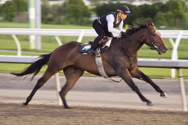 Touch'n Ride. (Michael Burns Photo)