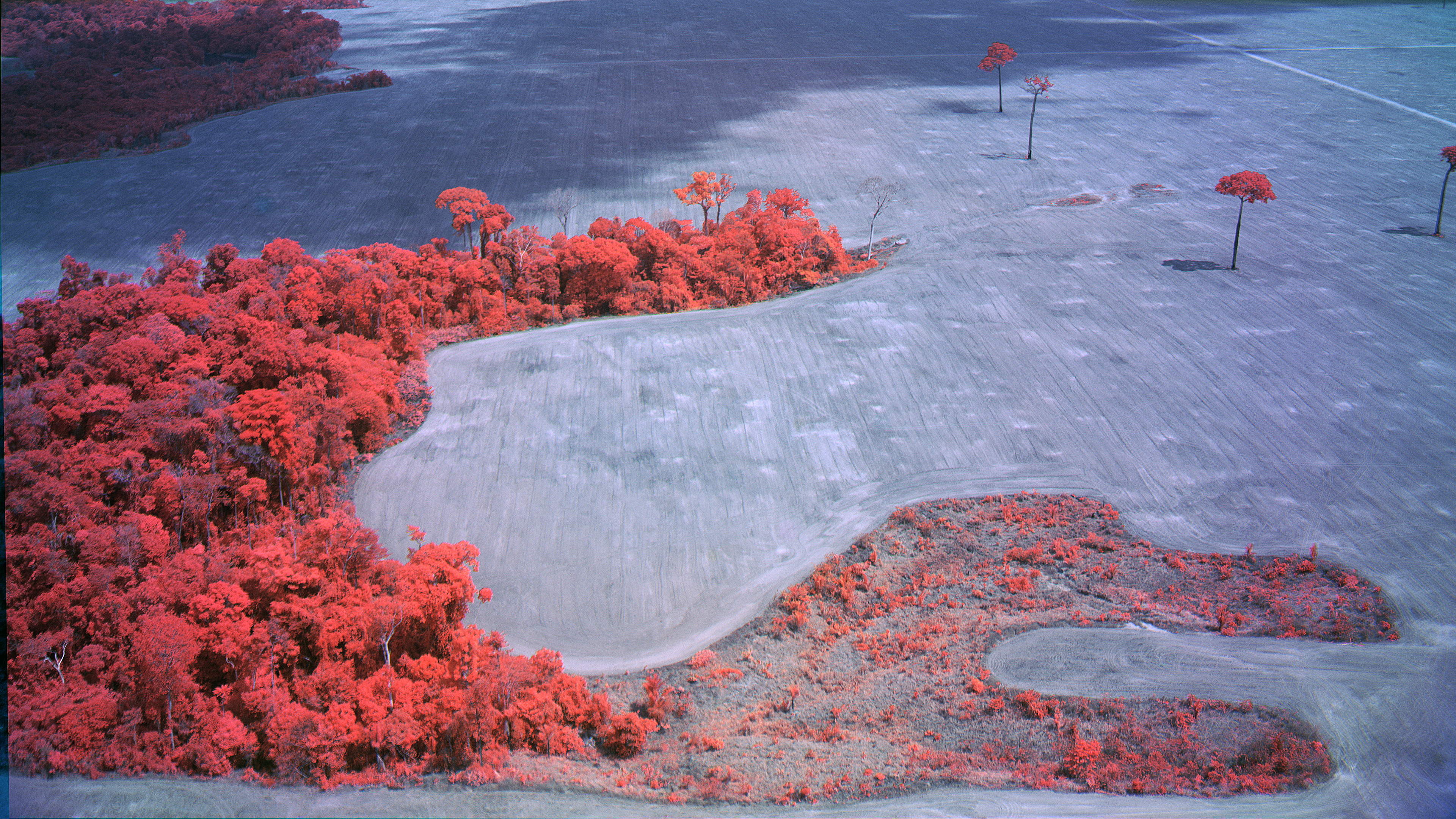 Richard Mosse, Broken Spectre 2022 (still). Courtesy of the artist and Jack Shainman Gallery, New York.