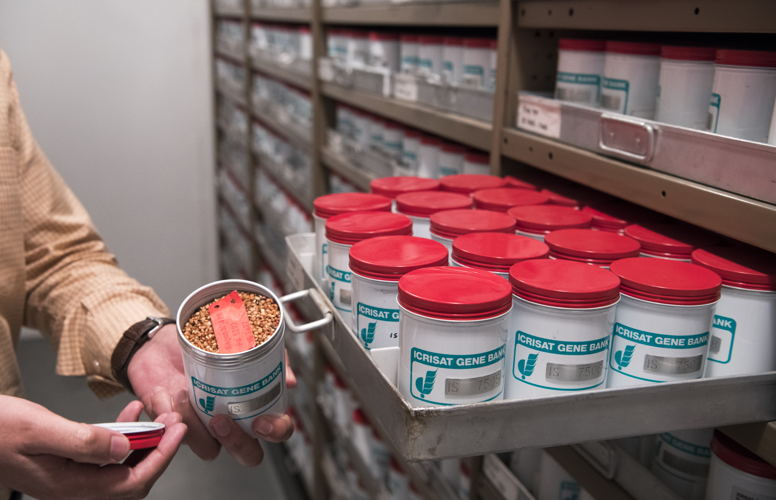 ICRISAT genebank preserving the seeds for the future