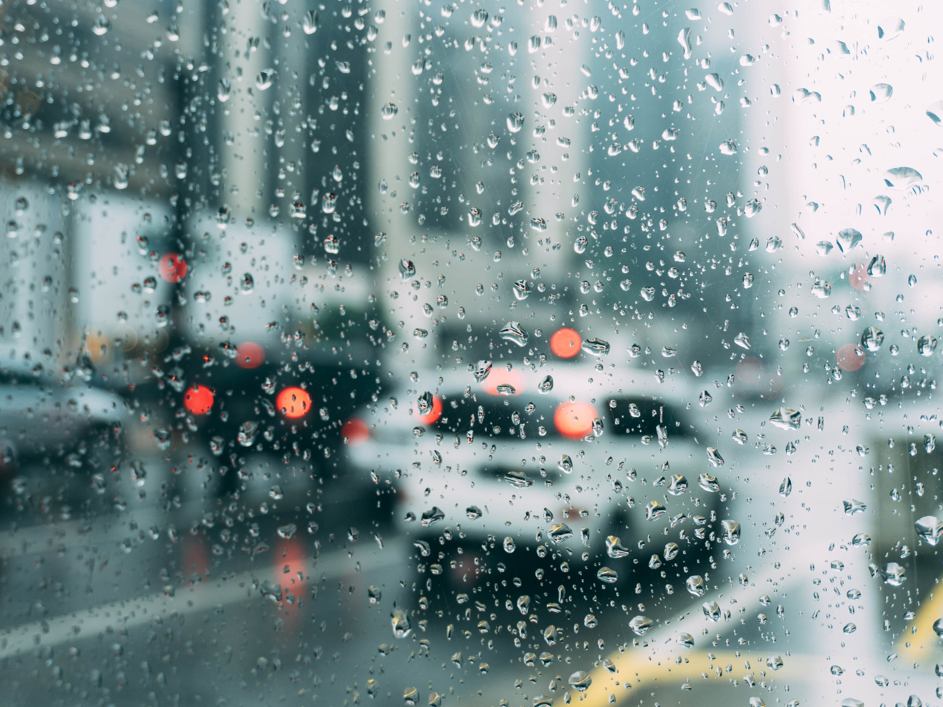 Guía para sobrevivir al caos de la época de lluvias