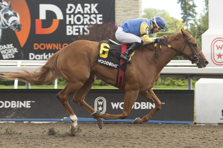 Foolish Games and jockey Omar Moreno winning the Thunder Bay Stakes on July 30, 2023 at Woodbine (Michael Burns Photo)