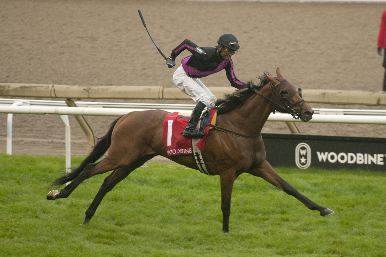 British Royalty and jockey Patrick Husbands winning the 2021 Breeders' Stakes at Woodbine (Michael Burns Photo)