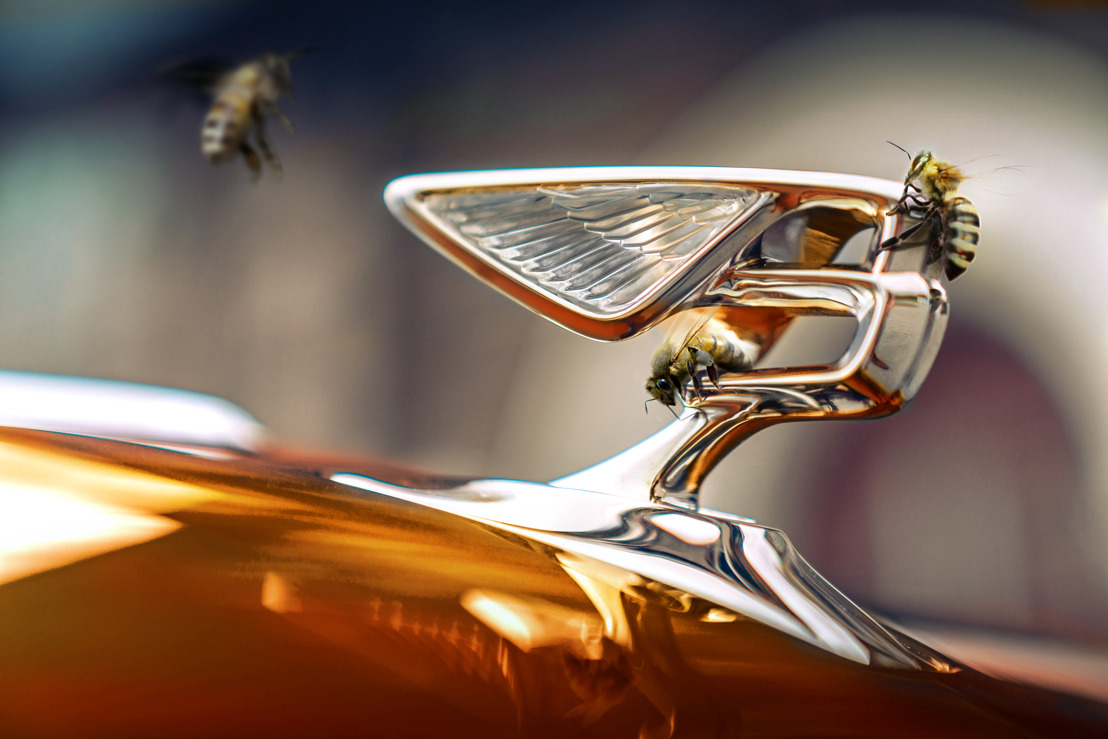 Bijenkorven bij Bentley Brussels