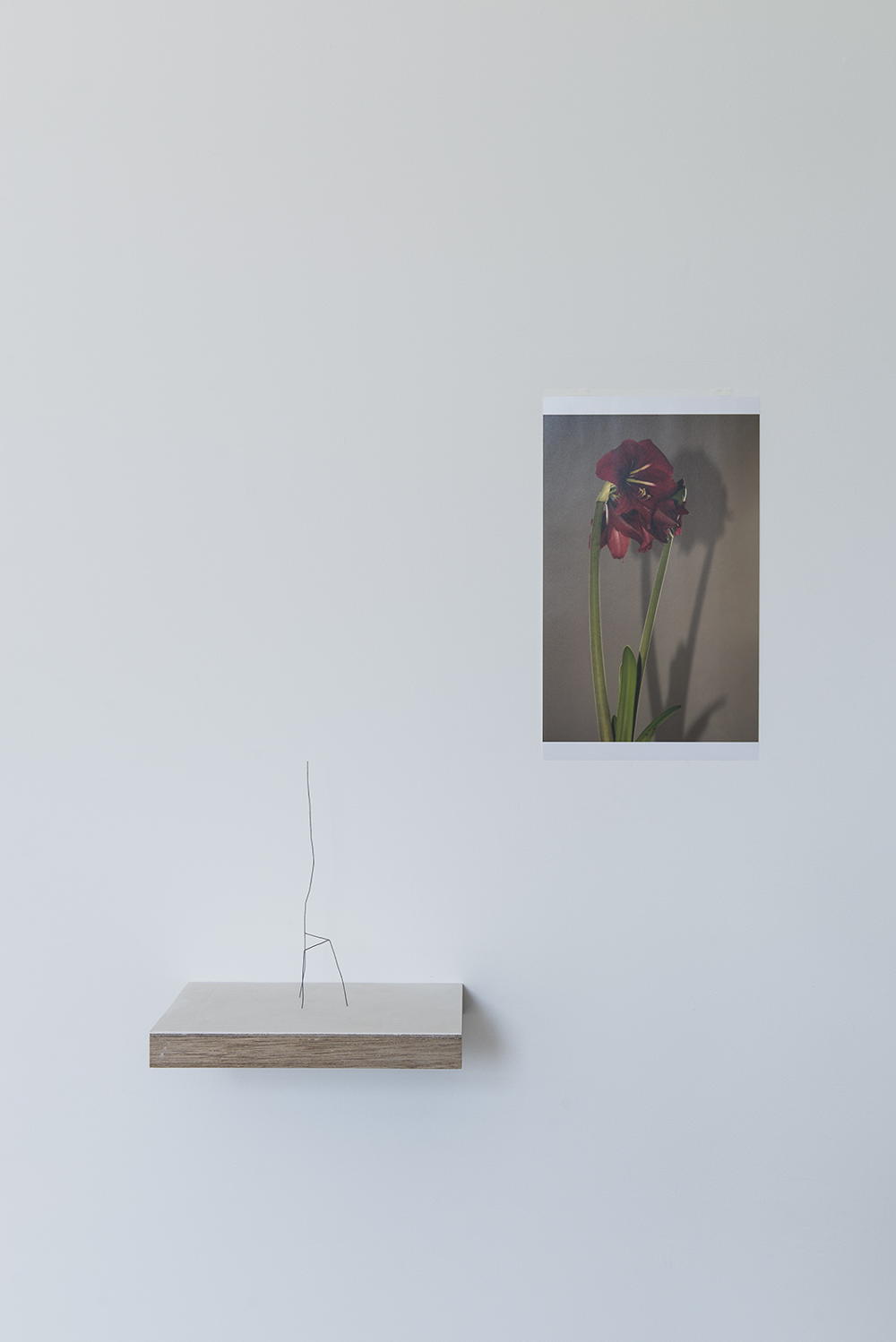 Installatiezicht van de tentoonstelling