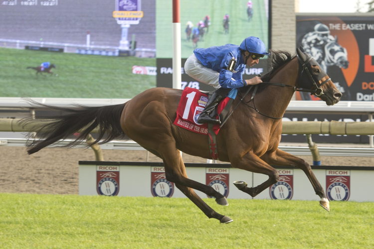 Master of The Seas and William Buick winning the Grade 1 Ricoh Woodbine Mile. (Michael Burns Photo)