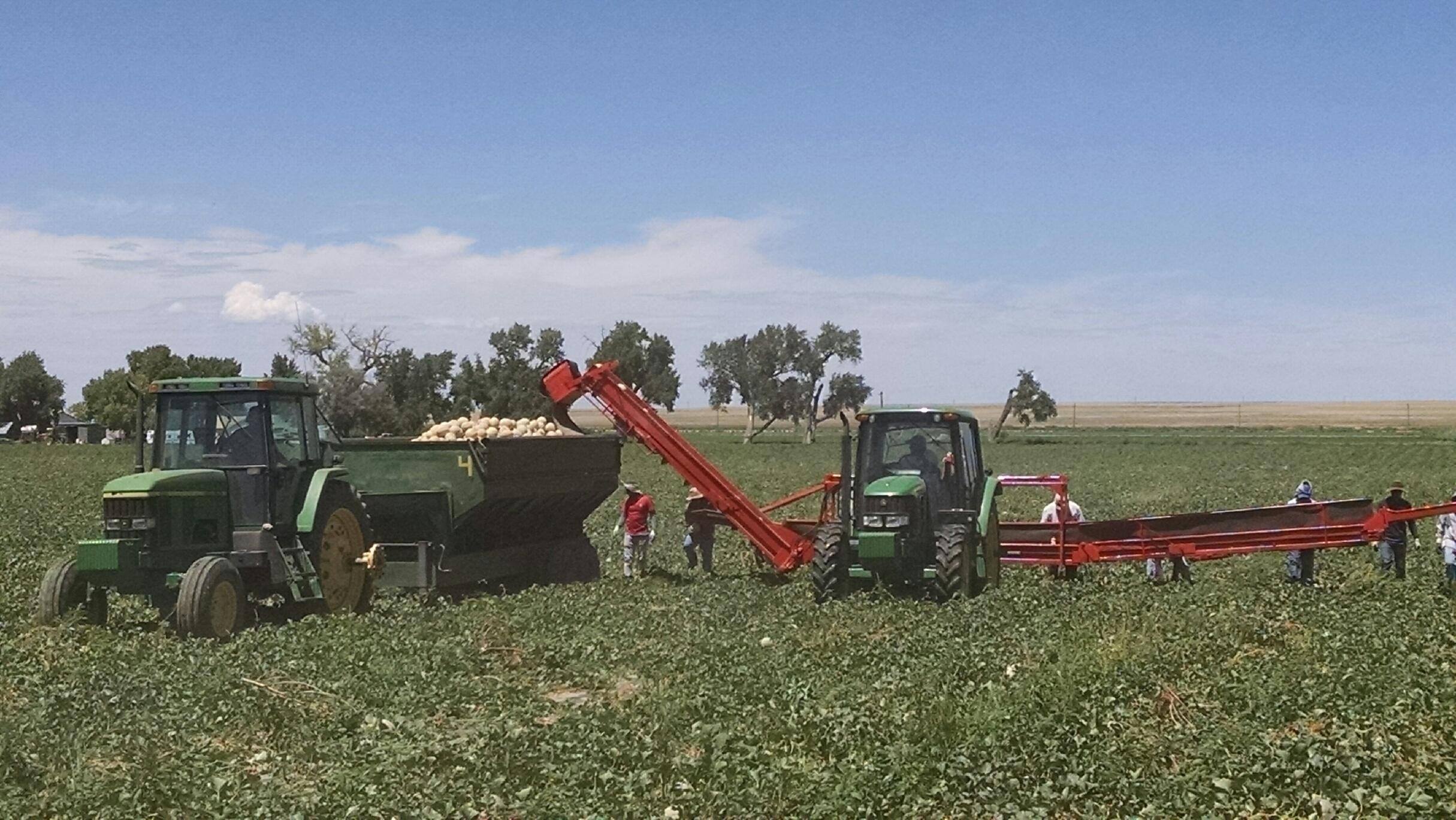 2016 Harvest