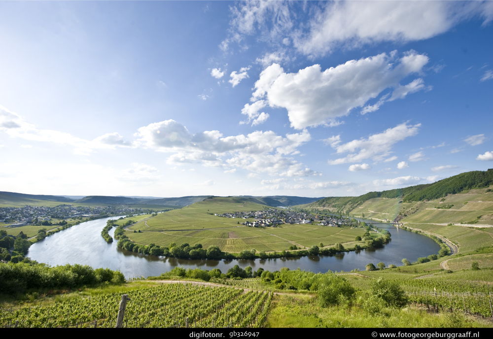 Moselregion