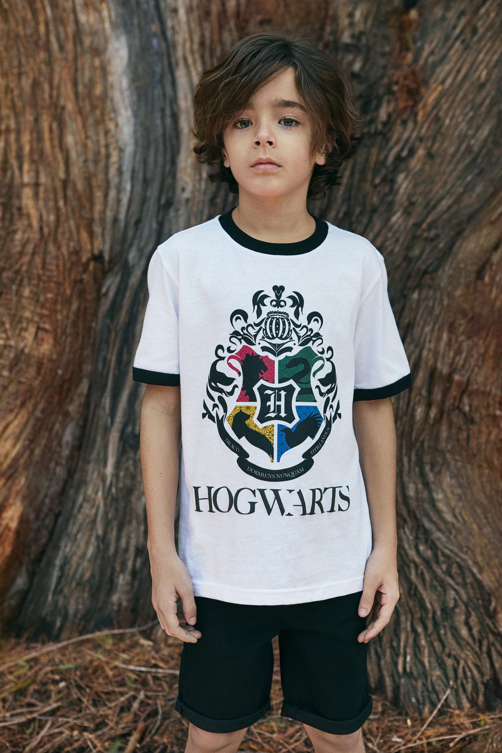 C&AxHarryPotter