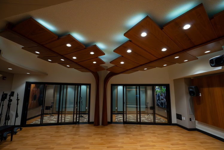 Kalo Plant-inspired Interior Design and Lighting Detail