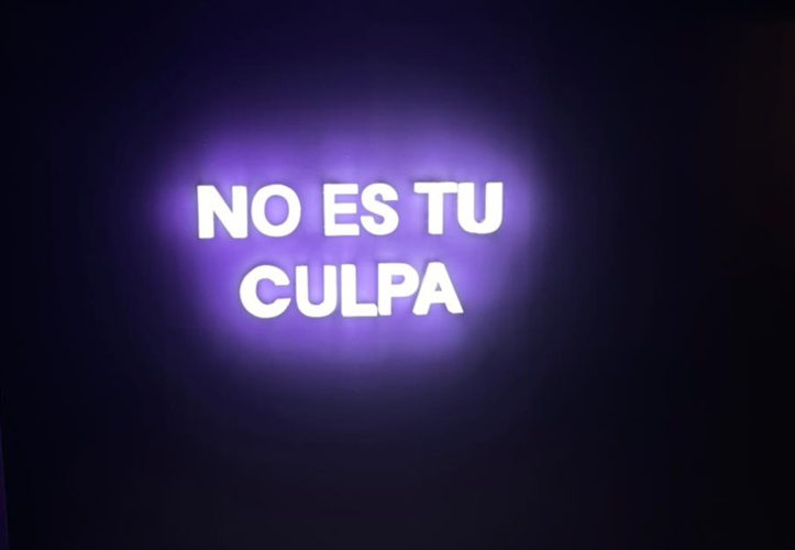 NO ES TU CULPA - EXPO TEMPORAL - NOS QUEREMOS LIBRES Y SEGURAS