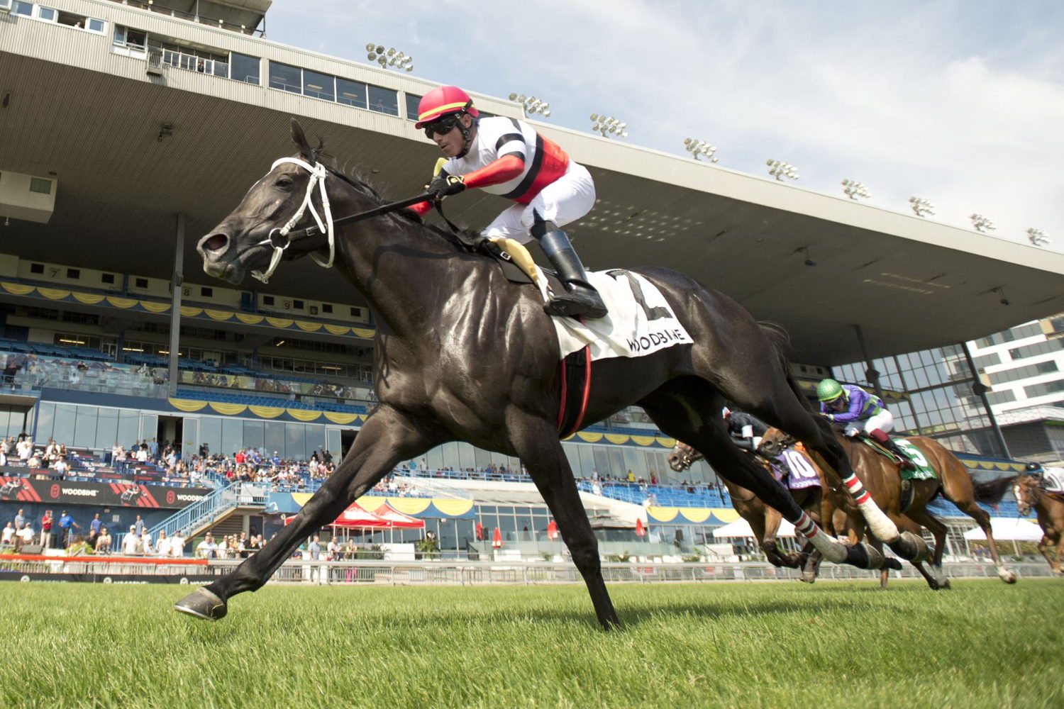 Cairo Consort and jockey Antonio Gallardo winning the Catch a Glimpse Stakes on August 20th 2022 at Woodbine. (Michael Burns Photo)