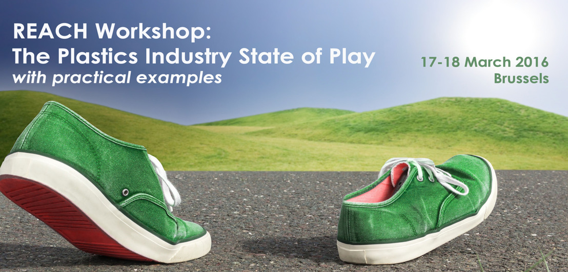 REACH Workshop: The Plastics Industry State of Play with practical examples