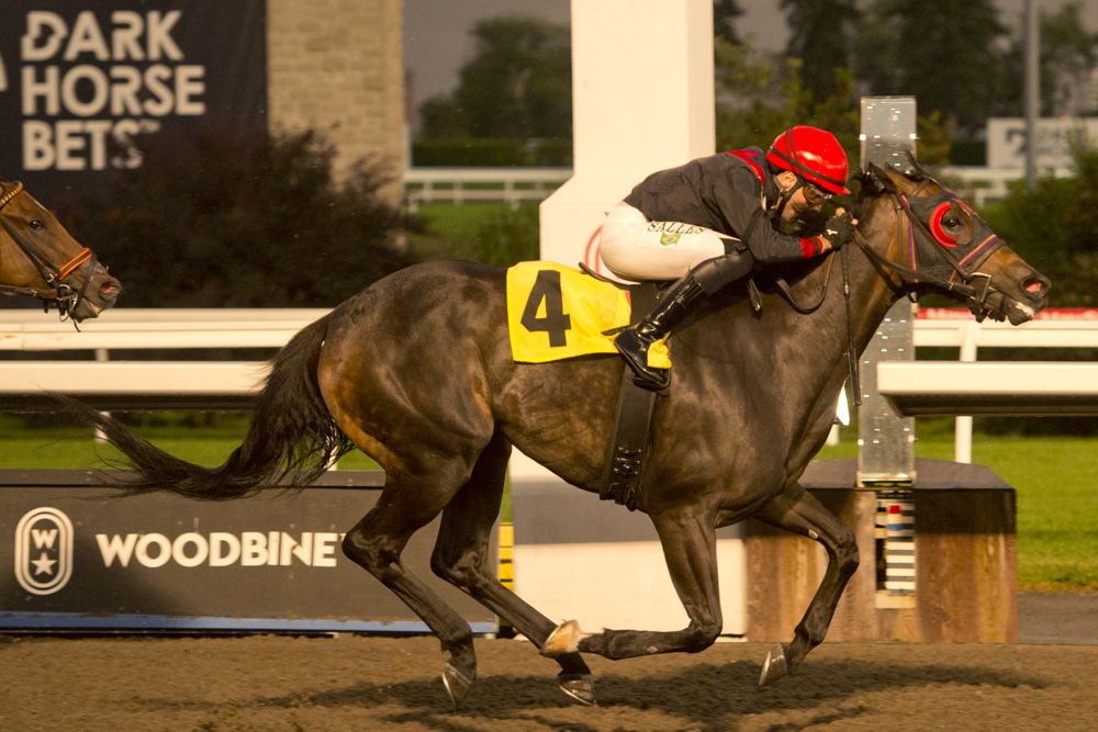 Ashlee's Ring winning Race 8 at Woodbine on July 20, 2023 (Michael Burns Photo)