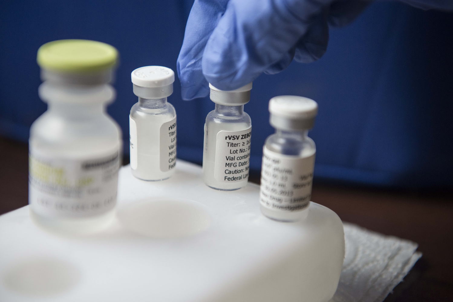 Le vaccin expérimental rVSV-EBOV contre l'ebola