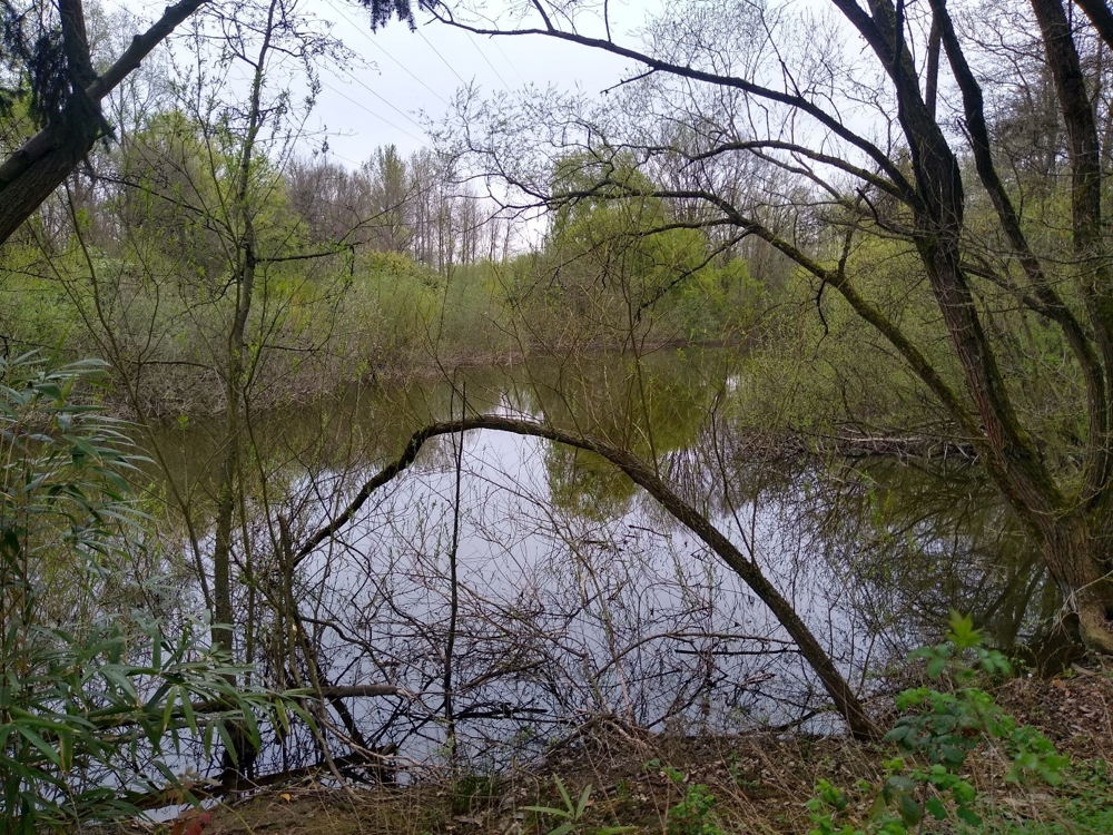 Noordelijke vijver ©Vlaamse Landmaatschappij