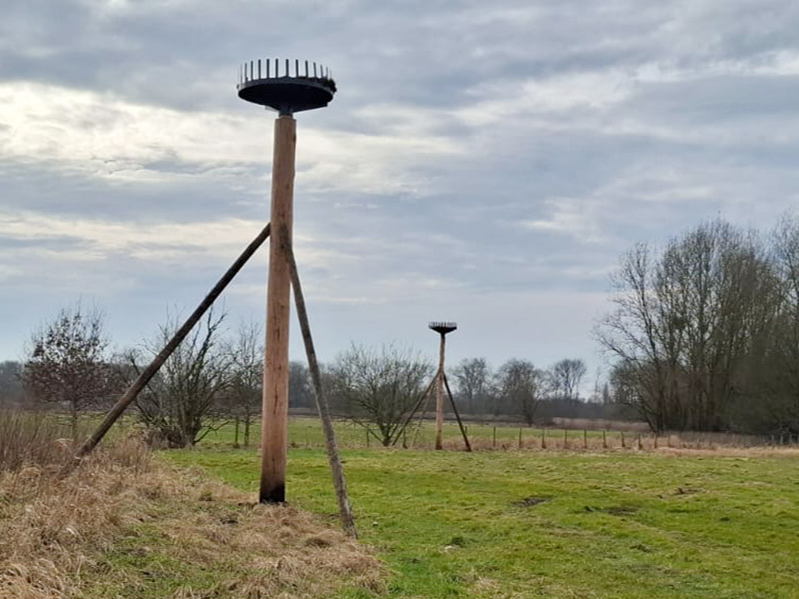 Nieuwe thuis voor ooievaars in de Dendervallei