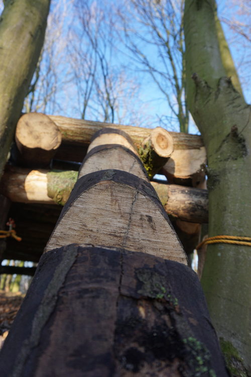 De Gavers Speelbos 