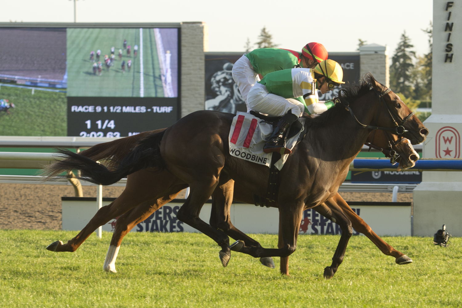 Touch'n Ride and jockey Kazushi Kimura winning the 2023 Breeders' Stakes at Woodbine (Michael Burns Photo)