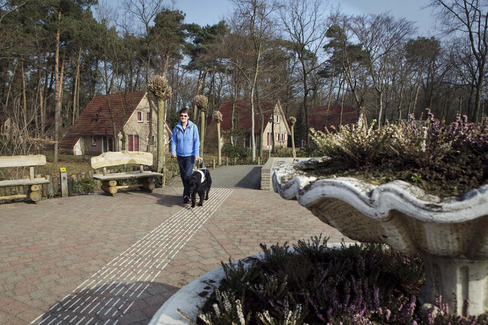 Looppaden Landal Landgoed &#039;t Loo