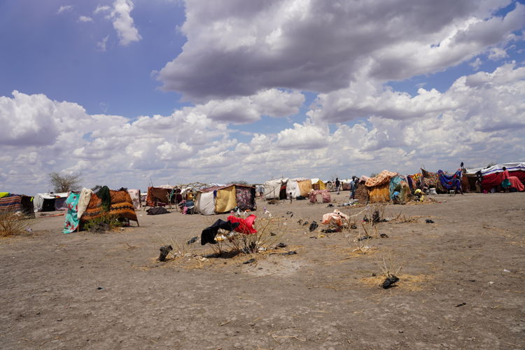 A view of the Zero transit site hosting dozens of families struggling to survive with very limited basic necessities like shelter, water, sanitation, and food. The conflict in Sudan, which erupted in April 2023, has caused the deaths of hundreds of people and forced more than 100,000 to flee across the border to South Sudan. Copyright - Nasir Ghafoor/MSF A view of the Zero transit site hosting dozens of families struggling to survive with very limited basic necessities like shelter, water, sanitation, and food. The conflict in Sudan, which erupted in April 2023, has caused the deaths of hundreds of people and forced more than 100,000 to flee across the border to South Sudan. Copyright - Nasir Ghafoor/MSF