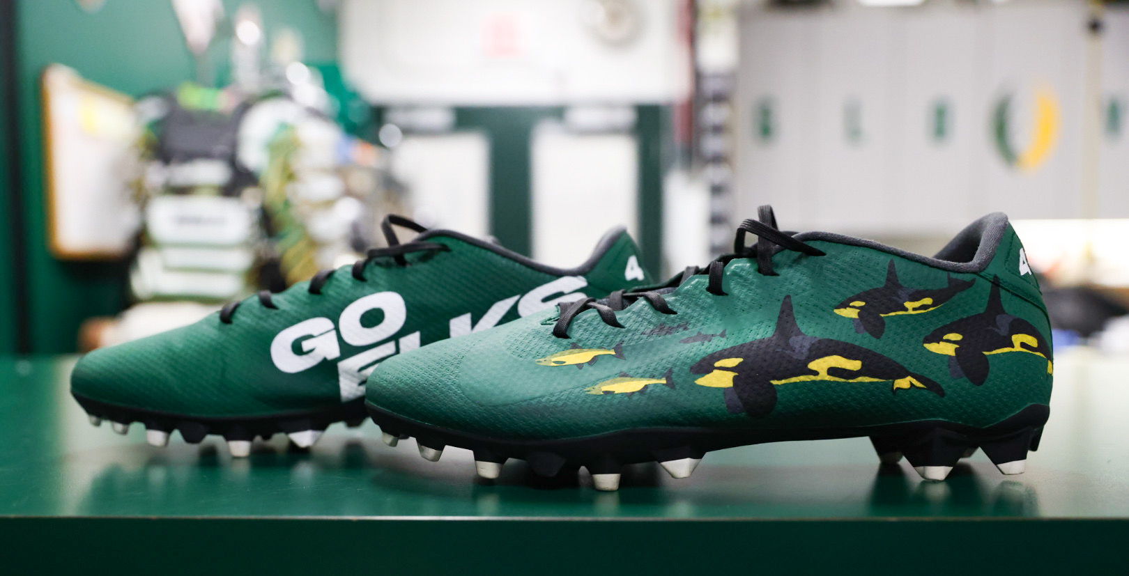 A picture of the cleats that will be worn by Nyles Morgan on Sunday, June 25th when the Elks take on the Toronto Argonauts.