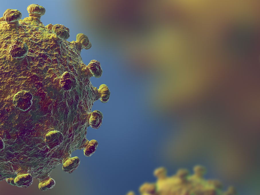 Repeated COVID vaccines enhance mucosal immunity against the virus