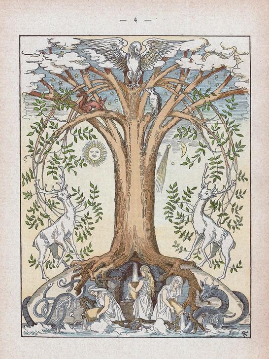 Yggdrasil, l'Arbre-Monde. Gravure sur bois en couleurs, 1883 © akg-images