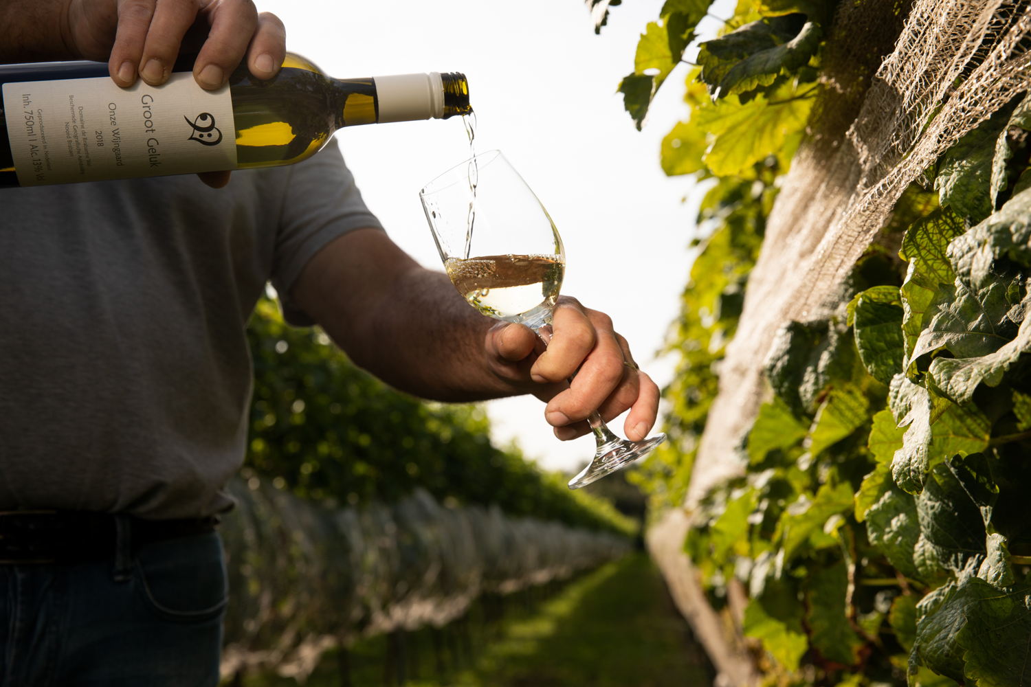 Domaine de Brabantse Wal