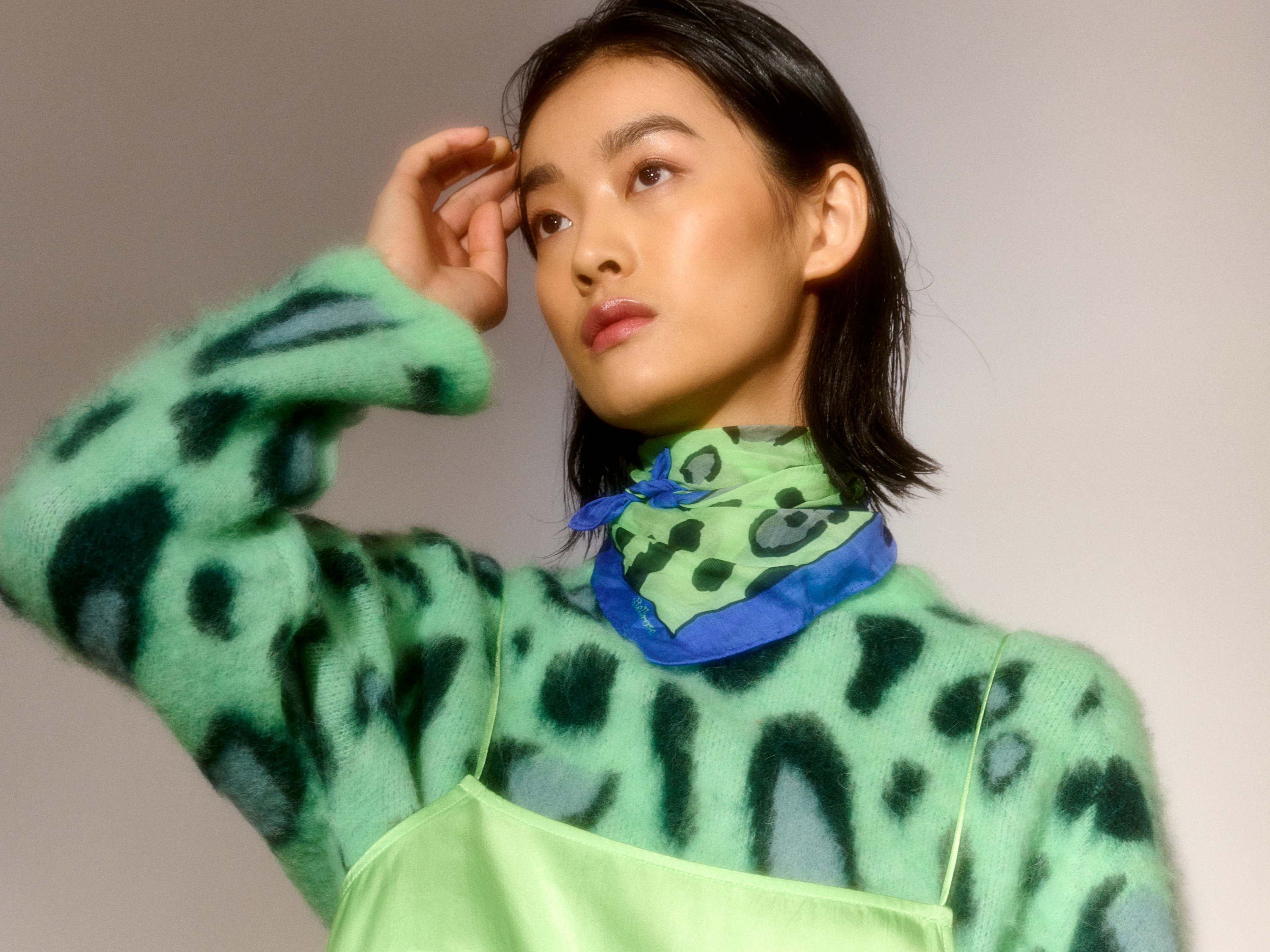 Bellerose Fall '23