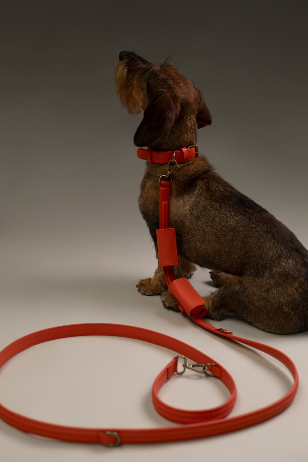 Mieke Dierckx_Amigo Collectie_Leiband S_80€ (9)