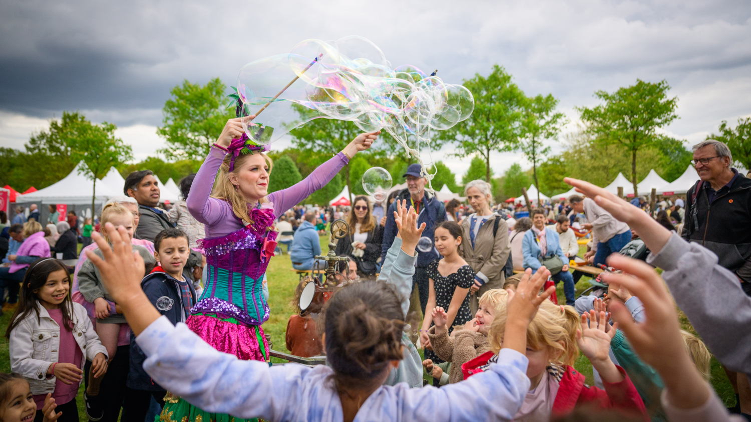 Tulpenpluk 2025, foto Wim Hadermann