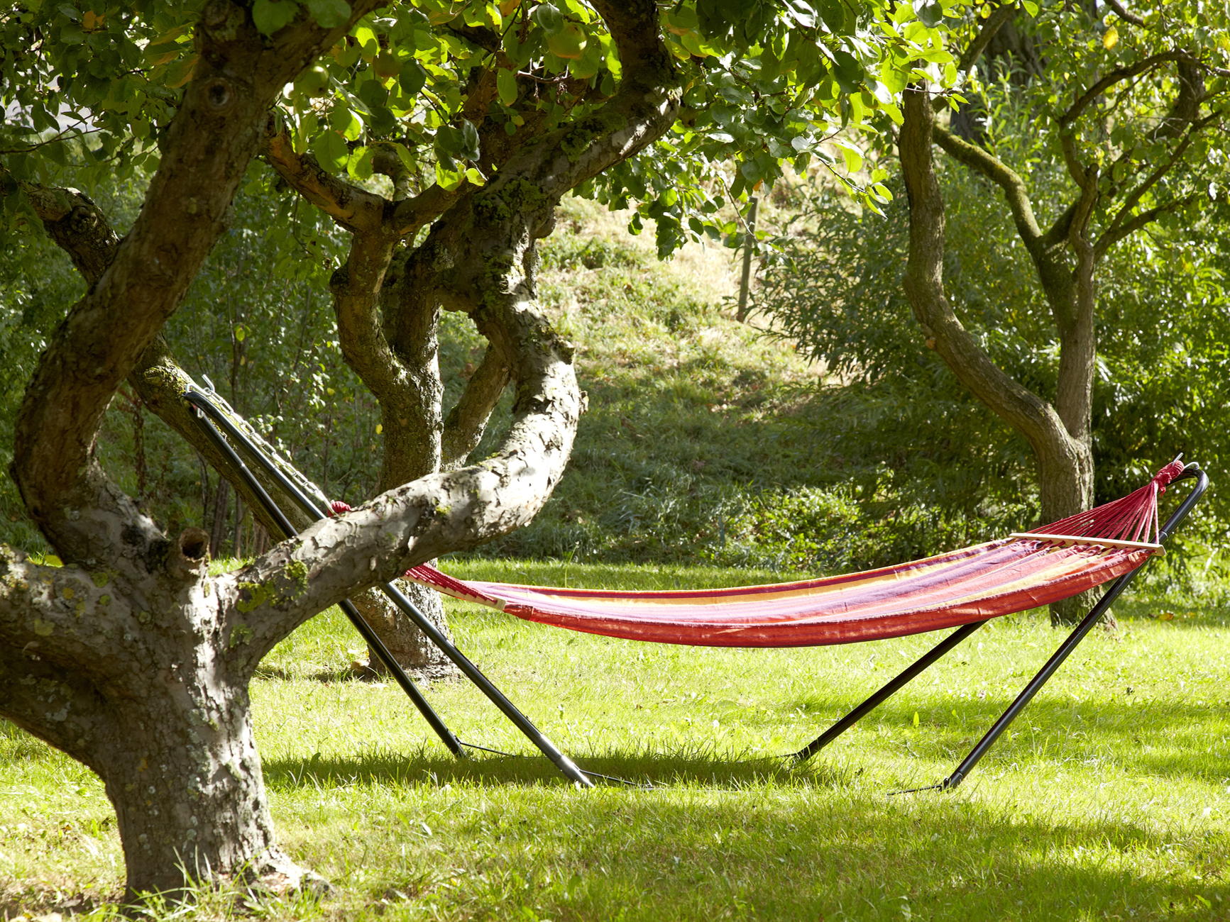 Le printemps s’invite chez GAMMA