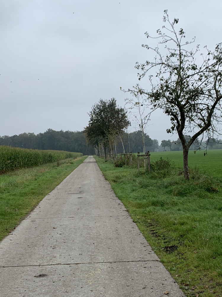Nieuwe houtkant in Ravels met steun uit de oproep 2023