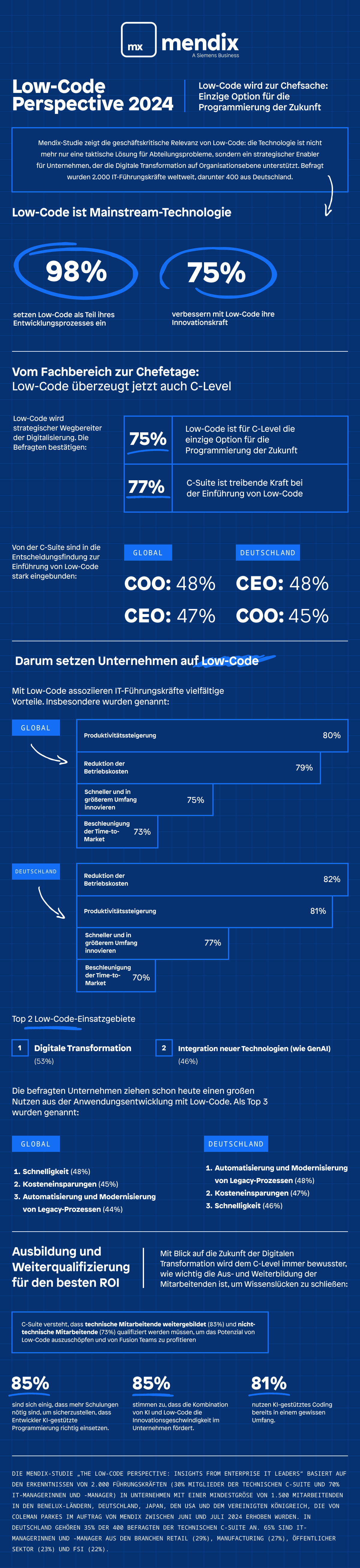 The Low-Code Perspective 2024