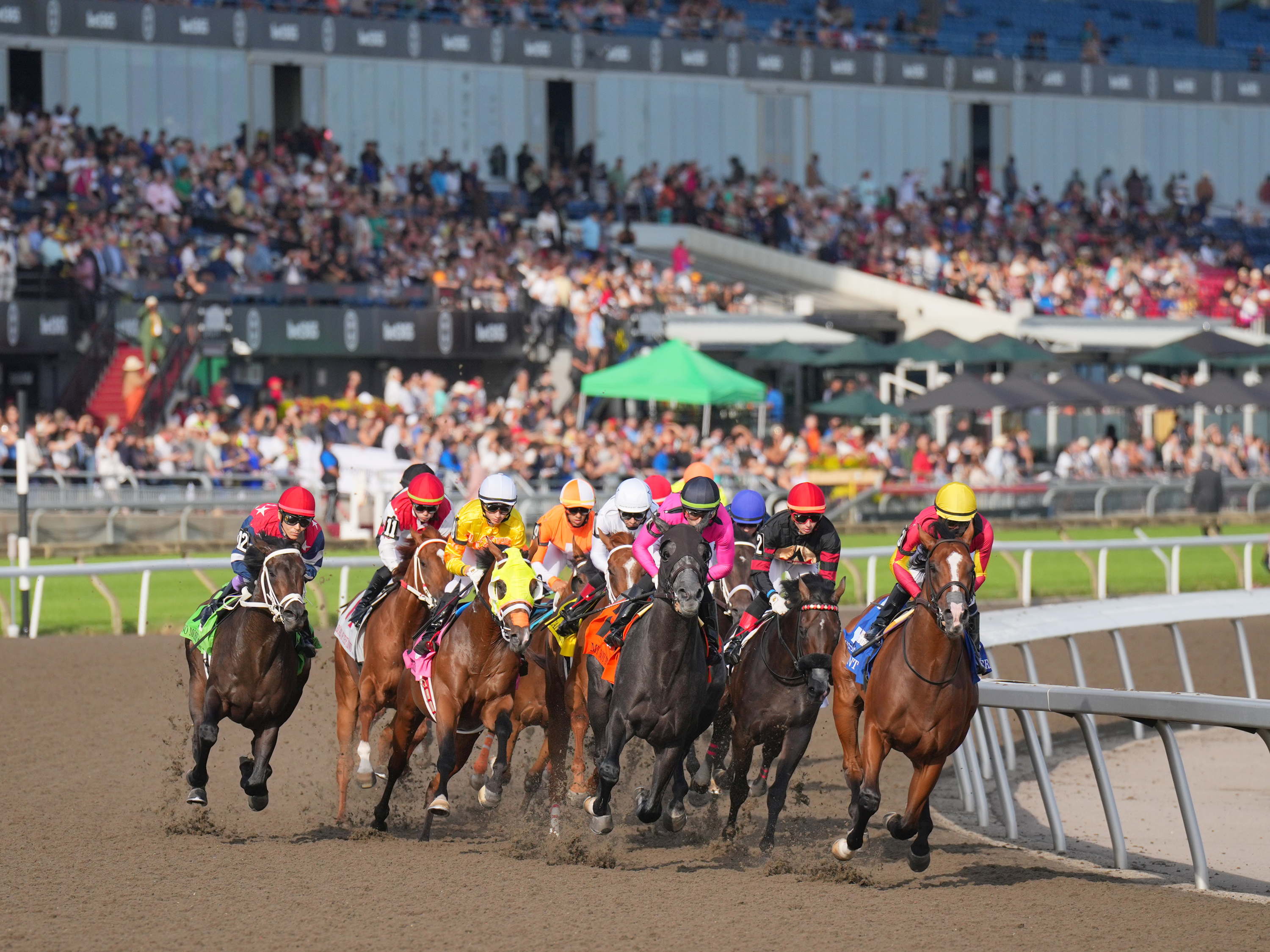 The 166th Edition of The King’s Plate Set for August 16  