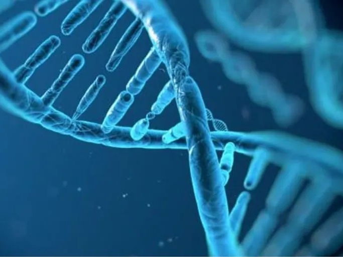 BIOTECHNOLOGIE – DE NIEUWSTE TOEPASSINGEN IN DE GEZONDHEIDSZORG