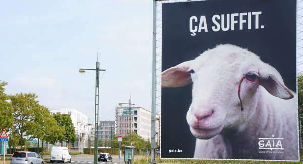 Lezing Brusselse Dierenwelzijnscodex opnieuw uitgesteld