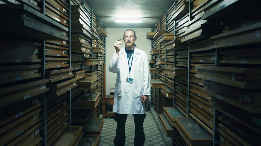 Een andere kijk - Jeroen Venderickx met de kleinste vogel ter wereld