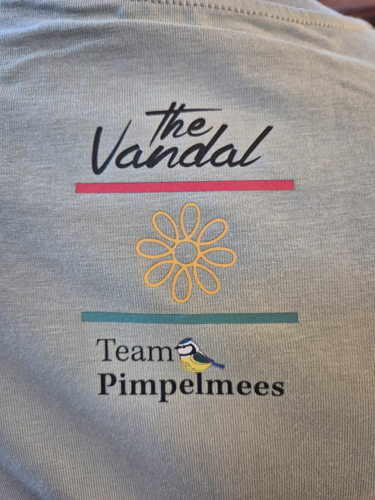 (c) The Vandal