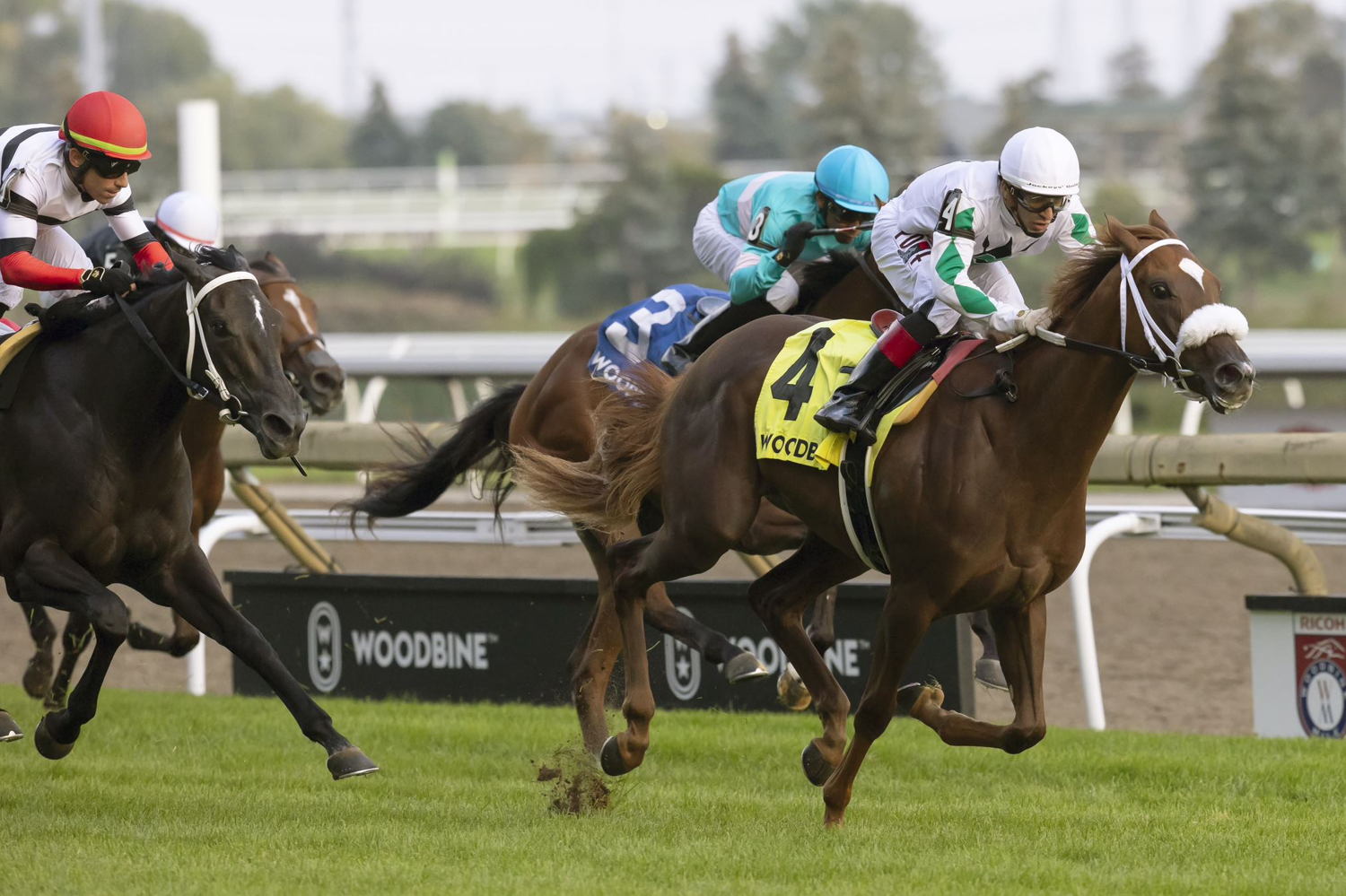 Last Call and jockey Rafael Hernandez winning the 2022 Johnnie Walker Natalma Stakes at Woodbine (Michael Burns Photo)
