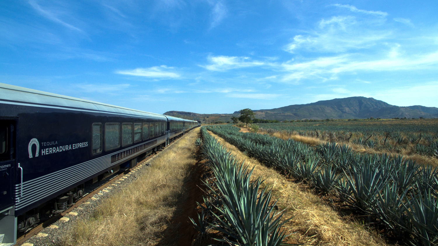 Herradura Express_4