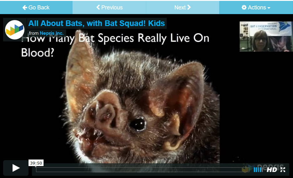 Screen shot from video archive on Nepris of an interactive session on bats.