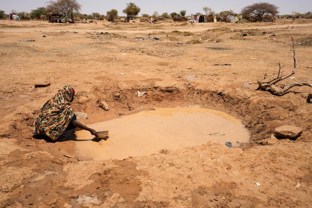 Sudan: MSF calls for urgent help for refugees in Chad struggling to survive