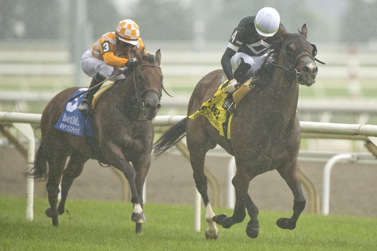 Dancing Duchess and jockey Sahin Civaci winning the Alywow Stakes on June 22, 2024 at Woodbine (Michael Burns Photo)