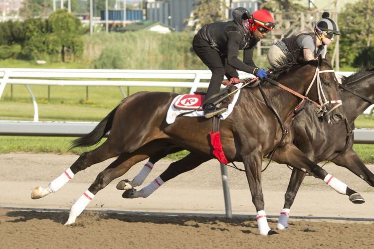 Velocitor. (Michael Burns Photo)