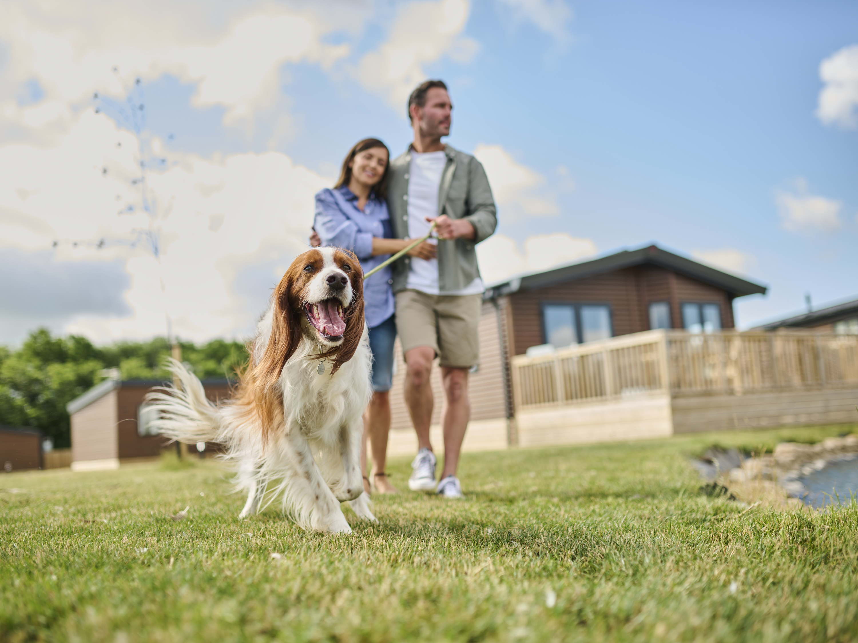 Werelddierendag bij Landal: ook de hond viert vakantie mee