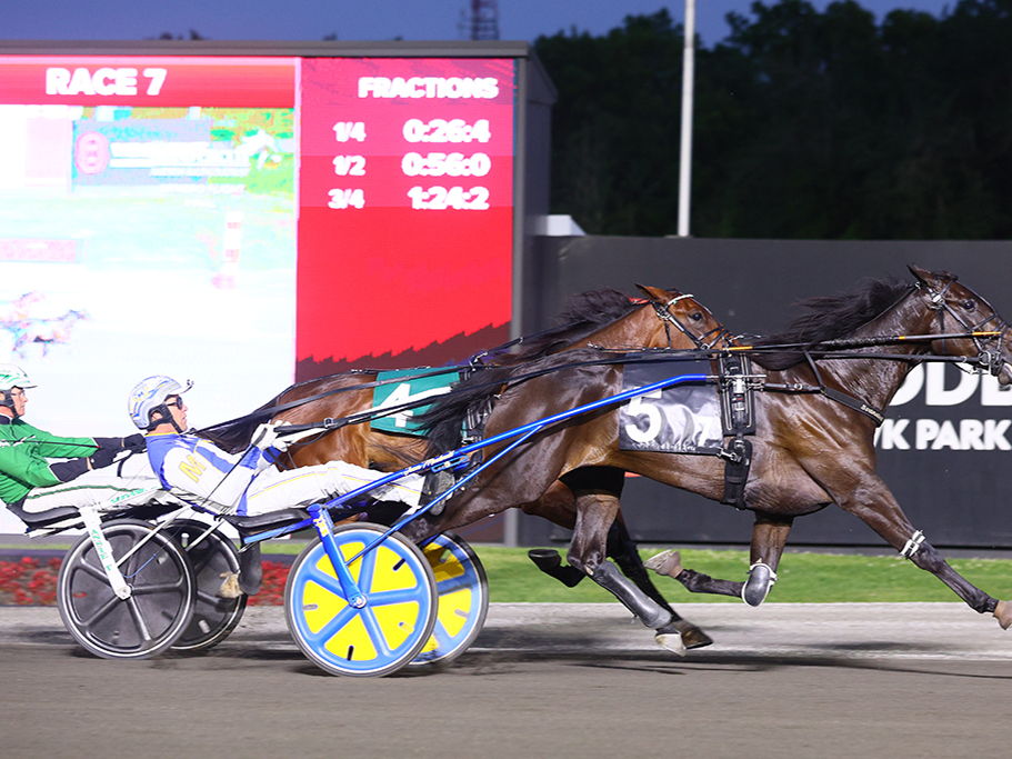 Dial Square S Clinches Armbro Flight Victory