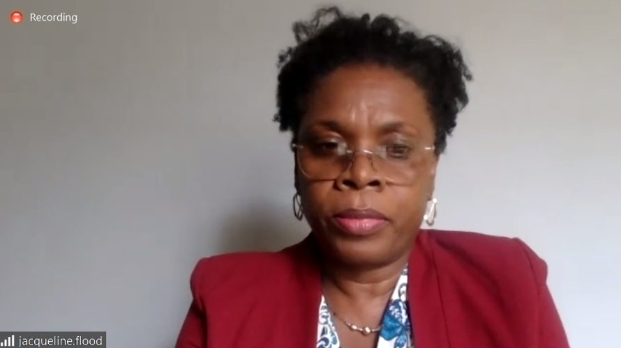 Mrs. Jacqueline Emmanuel-Flood, Director of Economic Affairs and Regional Integration at the OECS Commission