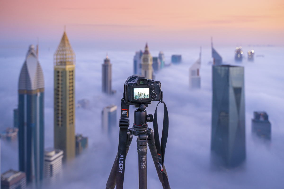 © Albert Dros
